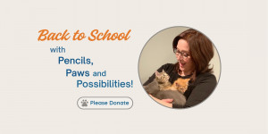 Back to School donate page with photo of woman holding three kittens