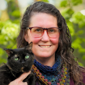 Close up of young orange kitten as placeholder of photo of Cory Pillard