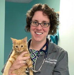 close up portrait of Dr Emily Coleman holding an orange cat