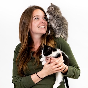 Jackie Ellis, holding a black and white kitten looking at a gray kitten sitting on her shoulder