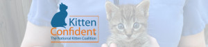 background photo of close up of tabby kitten looking at camera while being held by a veterinarian with overlay of Kitten Confident Program logo