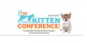 The Kitten Conference logo with front view of sitting tabby kitten