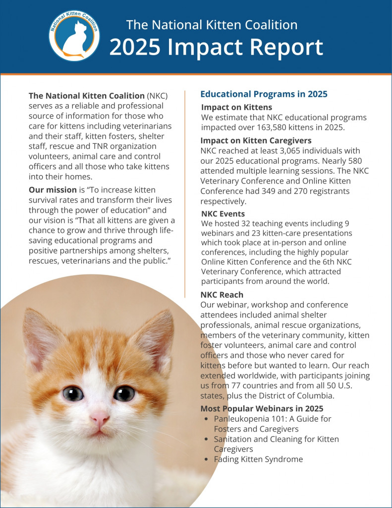 NKC 2025 Annual Report page 1