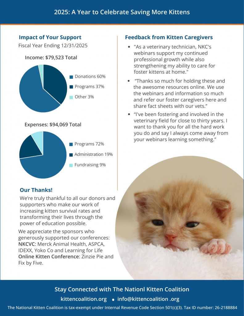 NKC 2025 Annual Report page 2