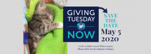 Giving Tuesday Now