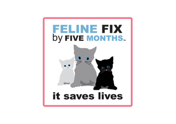 Feline Fix by Five logo