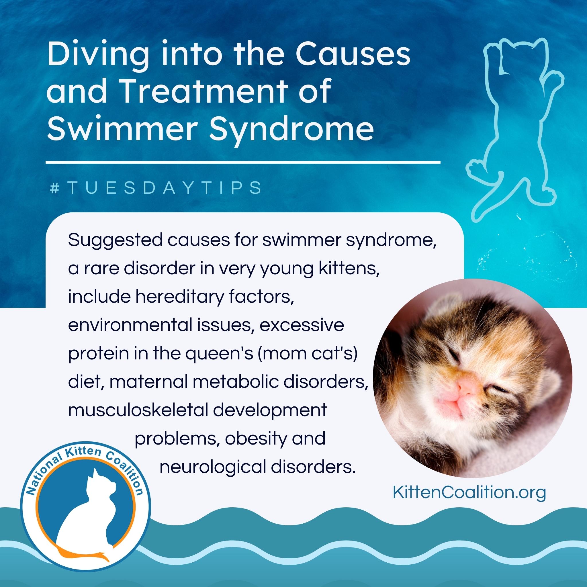 Tuesday Tips Swimmer Syndrome graphics