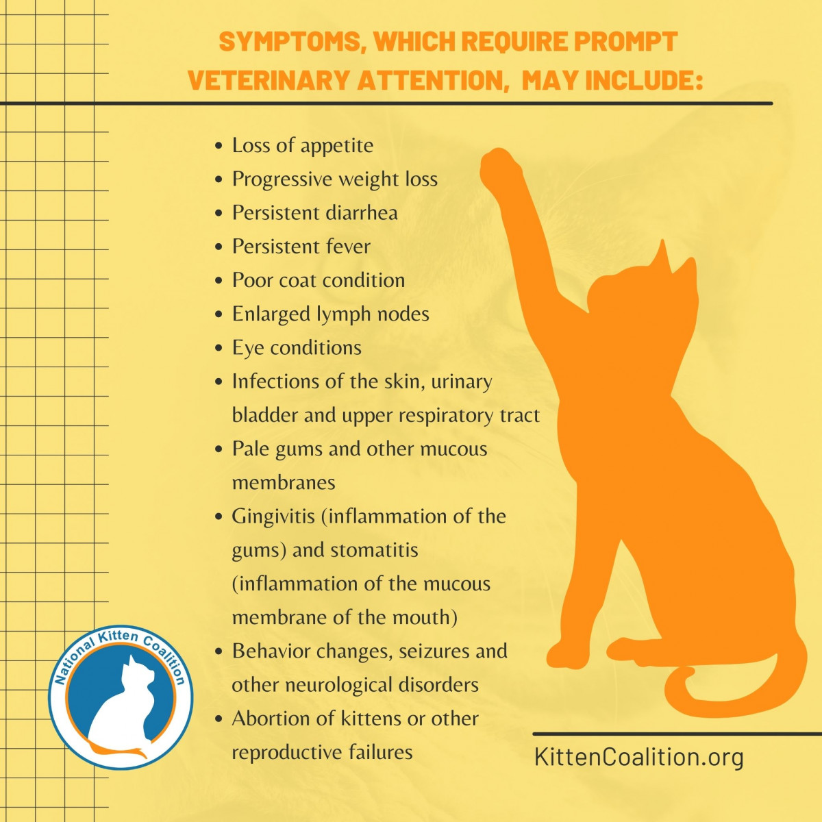 Image showcasing Understanding Feline Leukemia Virus (FeLV) and Supporting FeLV-Positive ...