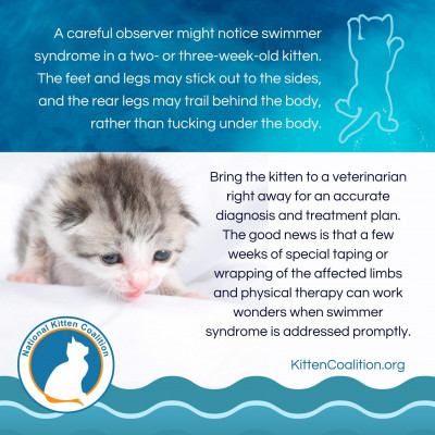 Diving into the Causes and Treatment of Swimmer Syndrome - National