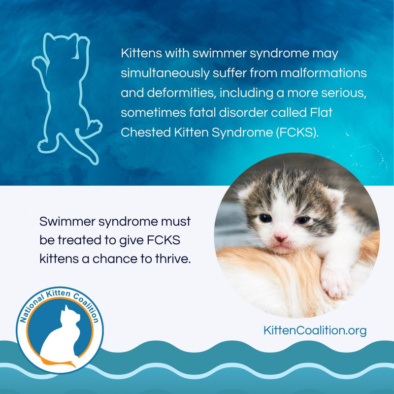 Diving into the Causes and Treatment of Swimmer Syndrome National