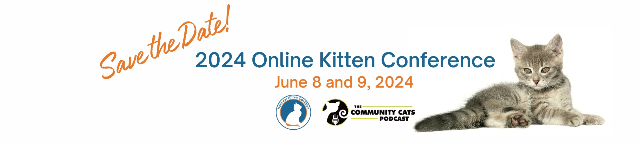 Online Kitten Conference