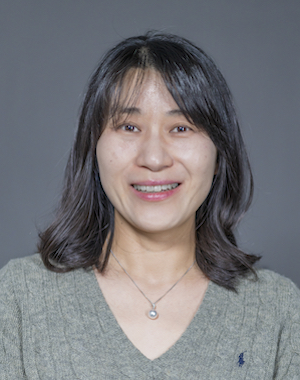 Headshot of Ji-Hey Lim, VMD, MPH