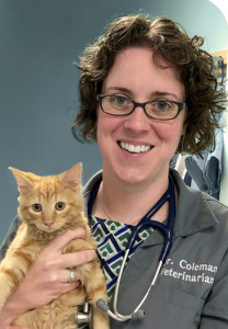 Portrait of Emily Coleman DVM holding an orange kitten