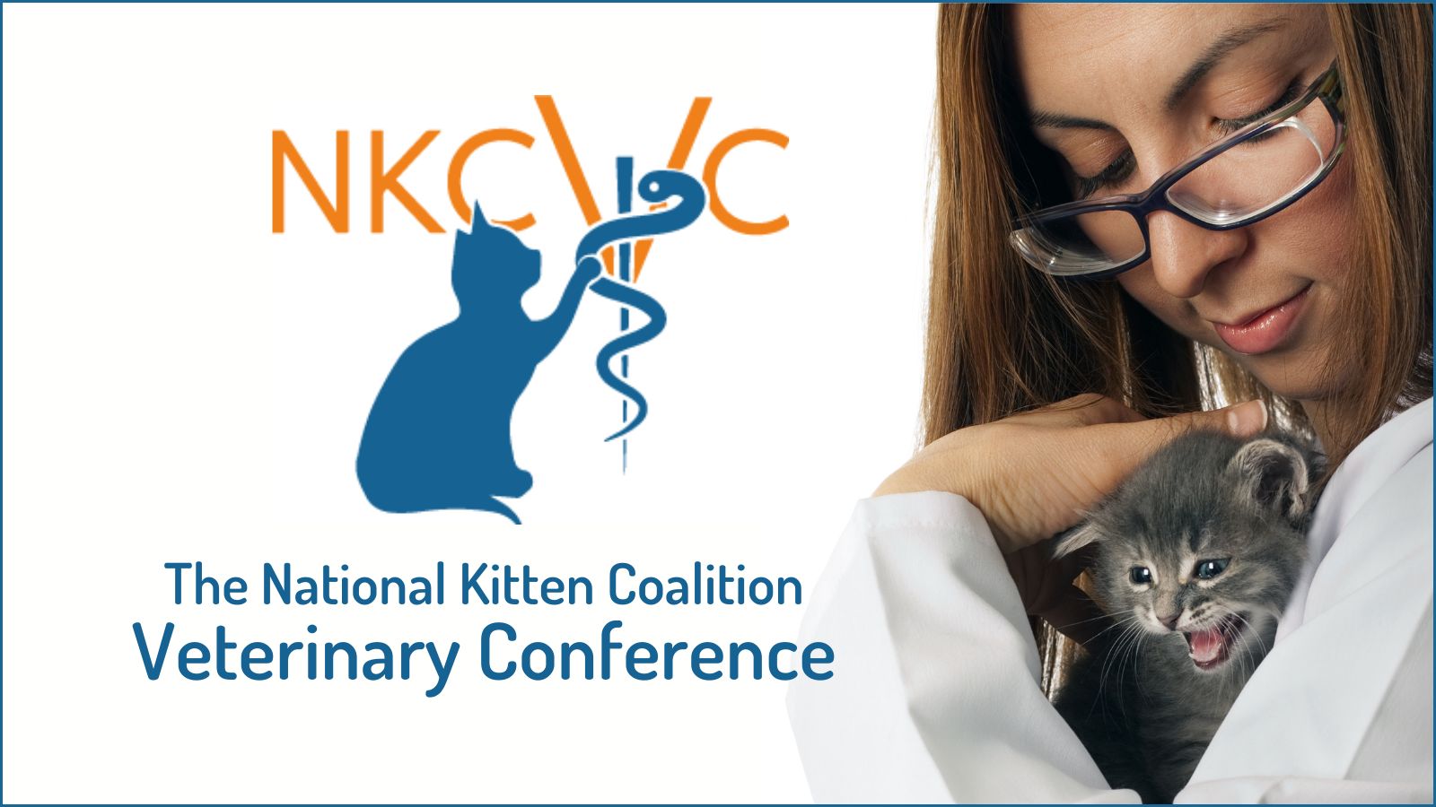 veterinarian cuddling a neonatal gray tabby kitten
