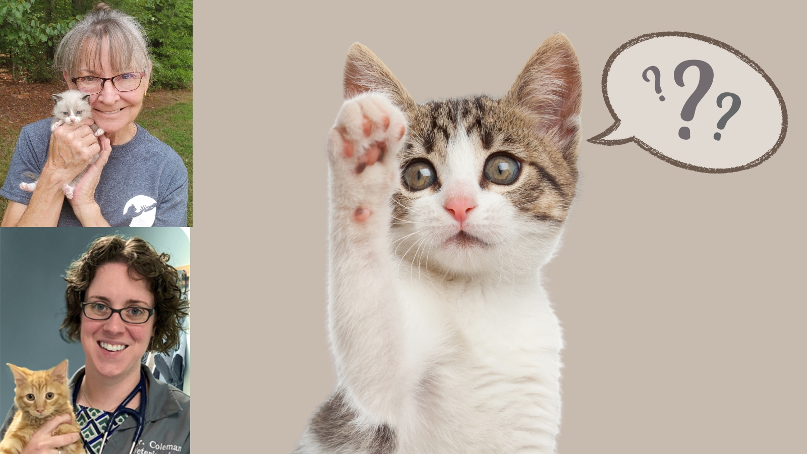 photos of susan spaulding and emily coleman with kitten raising paw to ask question