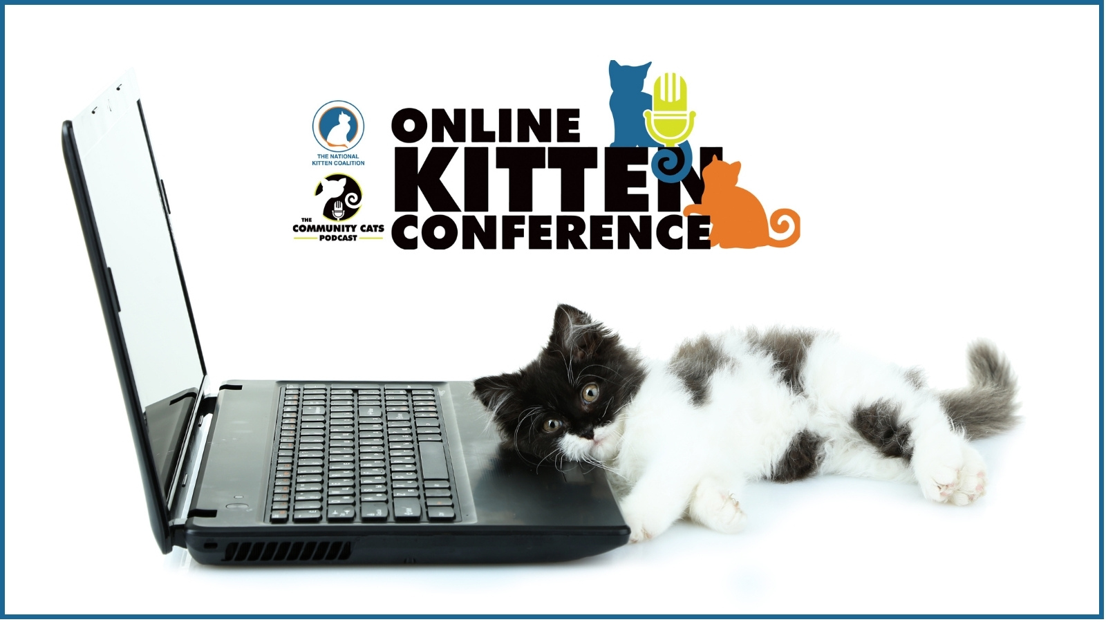 Online Kitten Conference logo and black and white kitten lying on laptop keyboard