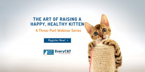 NKC-Every Cat Health Foundation Webinar Series