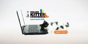 black and white kitten lying on laptop with Online Kitten Conference logo above