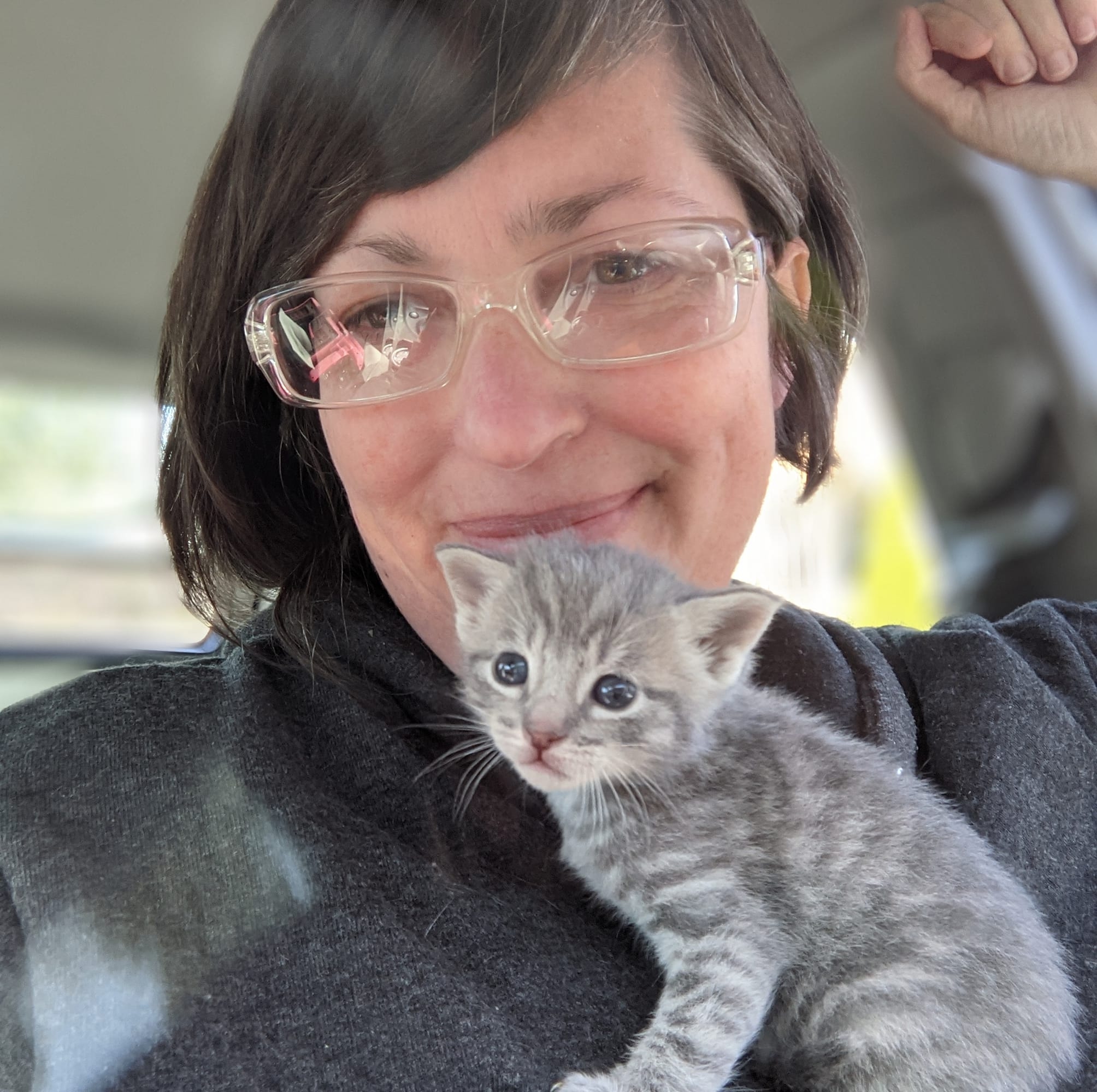 Portrait of Andee Bingham with gray kitten