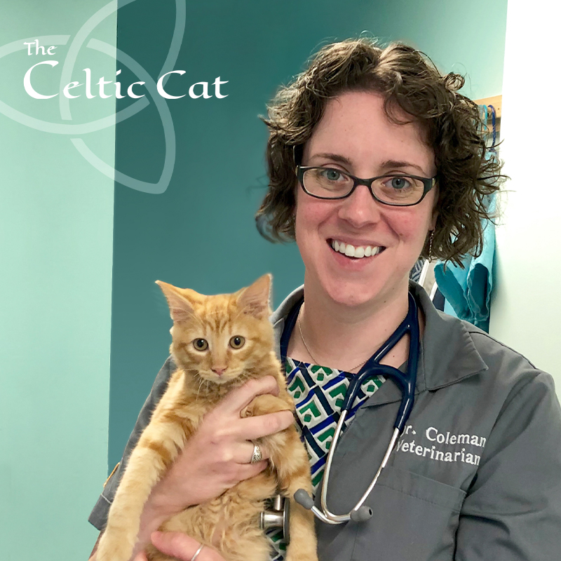 close up portrait of Dr Emily Coleman holding an orange cat