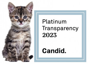 gray kitten with candid 2023 seal of transparancy