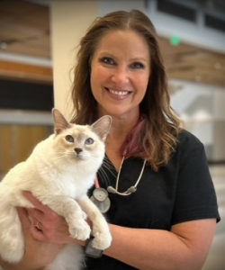 Portrait of Tracey Deiss, DVM wolding a lilac pointed siamese cat